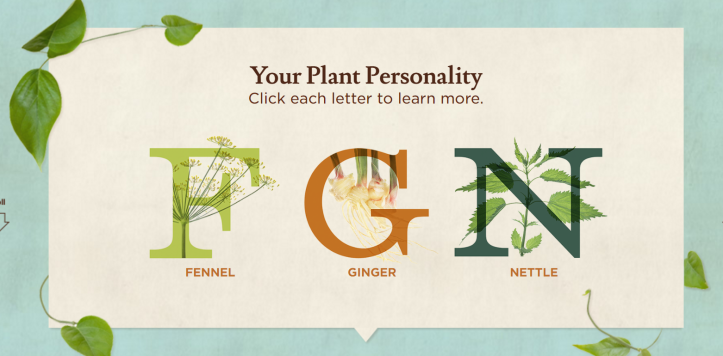 plant personality